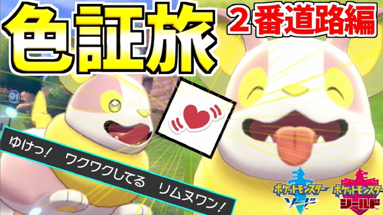 【色証旅】激カワ色証ワンパチゲット！？色証旅２番道路編！！【ポケモン剣盾】