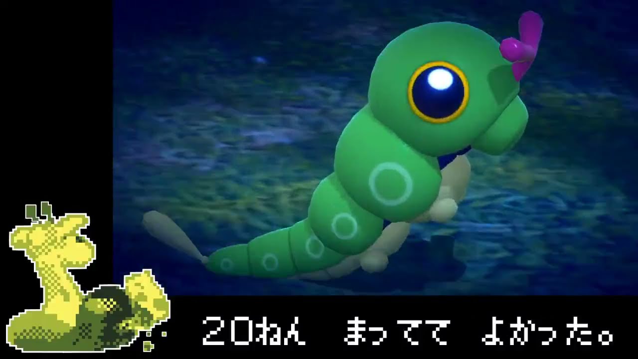 【ポケスナ】日ごろの恩を返すためにキャタピーを撮る