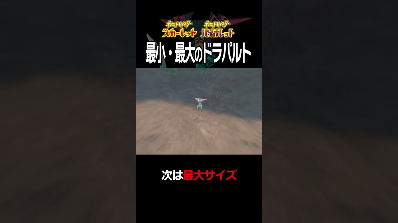 【大きさ比較】ドラパルト編【ポケモンSV】#Shorts