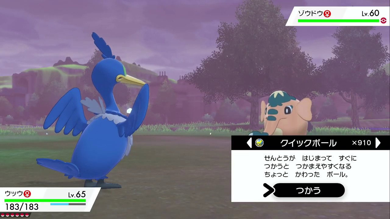 ポケモン ソード　ゾウドウGET