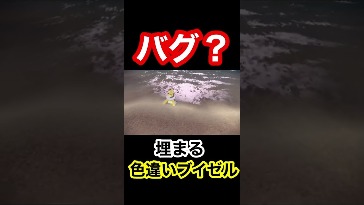 海で遊べない色違いブイゼル