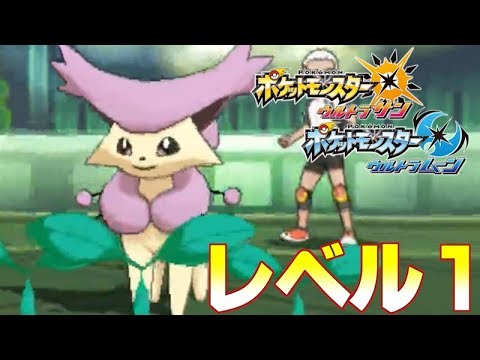 【ポケモンUSM】レベル1シングル最新戦術【エネコロロ編】
