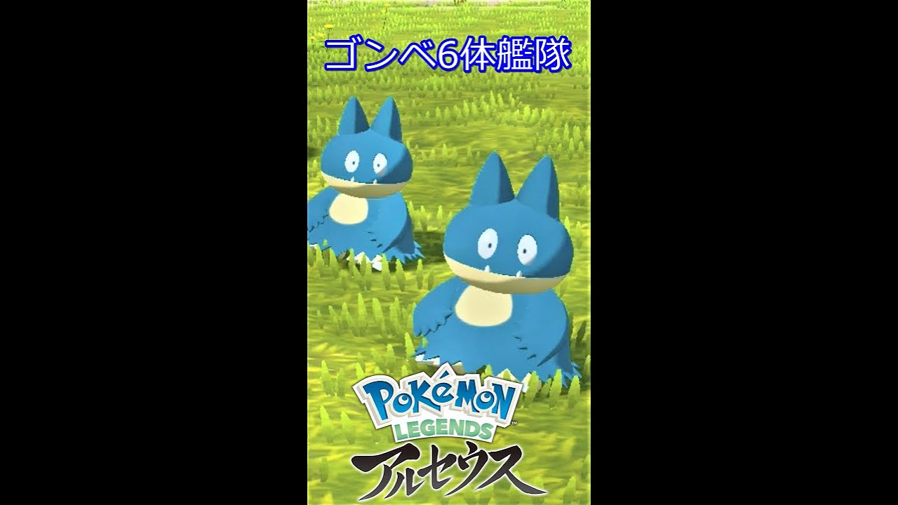 ゴンベ見て癒されよう【ポケモンレジェンズアルセウス】#Shorts