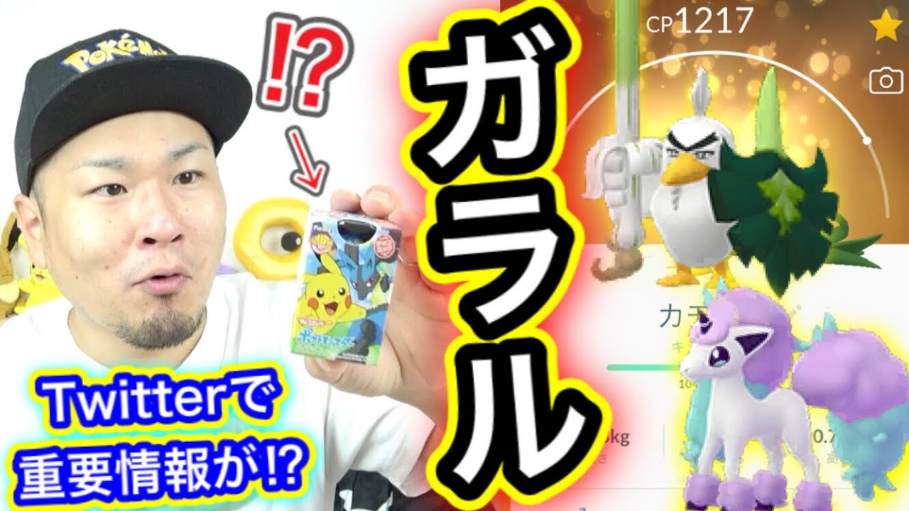 ネギガナイト！？ガラルポニータ！？公式さんの匂わせ【ポケモンGO】【チョコエッグ】