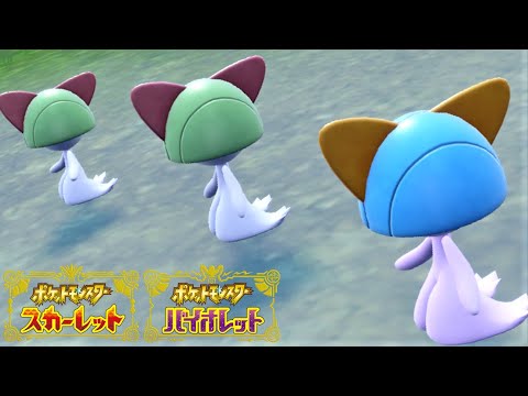 【可愛い】ラルトス６匹に囲まれて癒されピクニック【ポケモンSV】