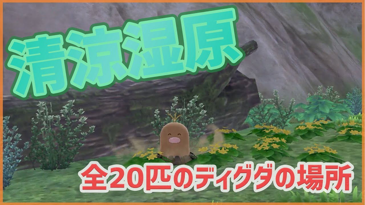 【ポケモンソードシールド】清涼湿原｜全20匹のディグダの場所【ポケモン剣盾】