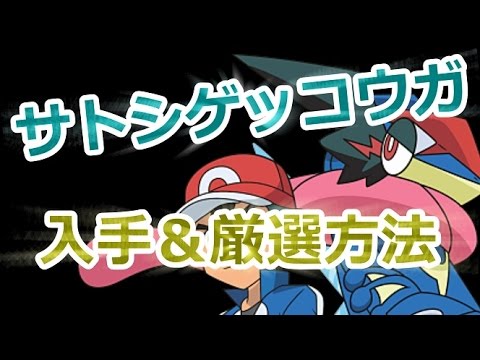 ポケモンSM サトシゲッコウガの入手方法＆厳選方法