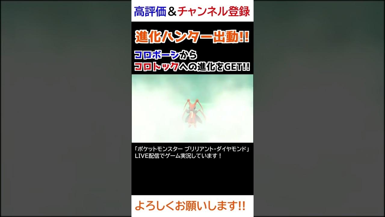 コロボーシ→コロトック進化【ダイパリメイク】【進化ハンター】