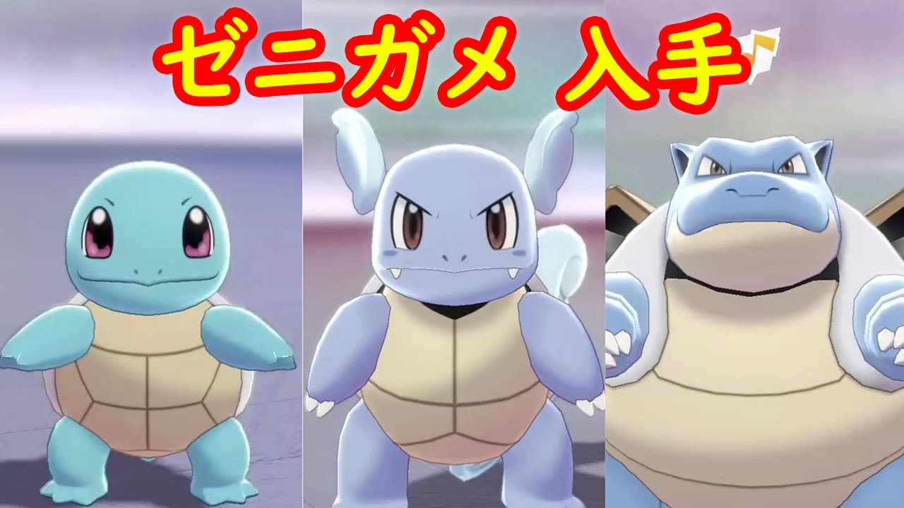 【ゼニガメ → カメール → カメックス】入手 攻略 + キャンプで遊ぶ【ポケモン剣盾 ポケモンHOME ポケモン ソード シールド 】