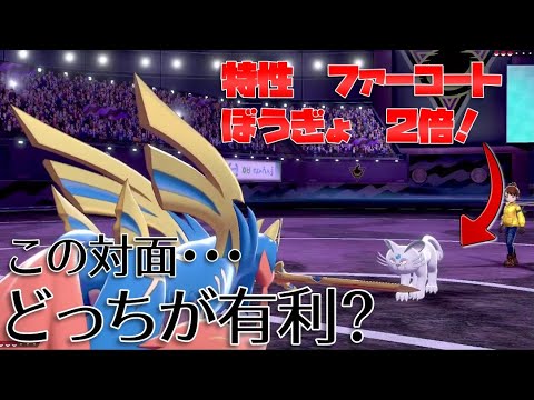 【ポケモン剣盾】チート特性でぼうぎょ２倍のアローラペルシアンってザシアンに勝てるの？
