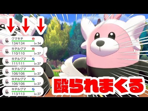 【ポケモン剣盾】キテルグマと遊ぶとこうなりますpart10【大量のキテルグマ】