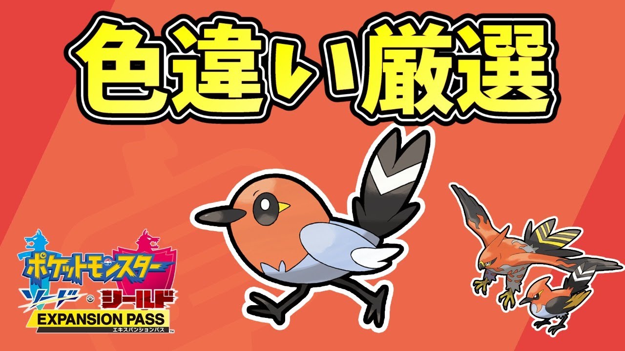 【ポケモン剣盾】ヤヤコマ色違い厳選 10日目(2100匹～)【ポケモンソード・シールド】