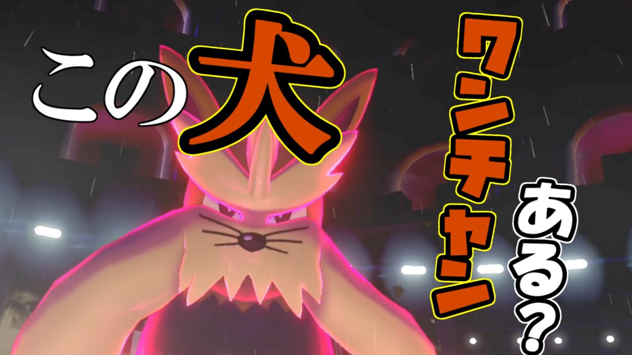 【ポケモン剣盾】老犬ムーランドはこの環境に適応できるのか