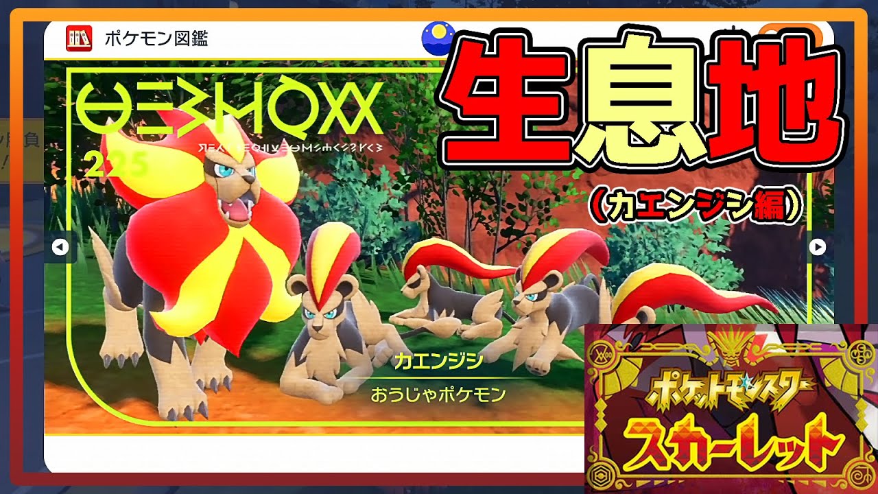 【ポケモンSV生息地図鑑No.225】おうじゃポケモン　カエンジシ生息地