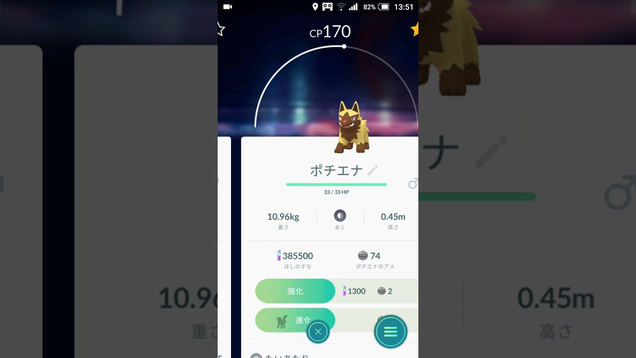 【Pokemon GO】色違い金ポチエナ→グラエナ進化！！