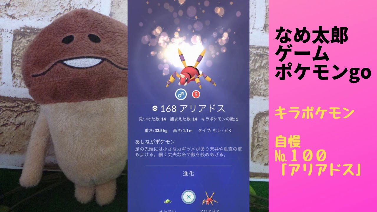 なめ太郎のキラポケモン自慢コーナーナンバー１００、「アリアドス」【ポケモンgo】