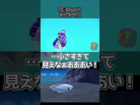 【ポケモンSV】小さすぎてシビシラスはまじで見えないんだよ。【本日の色違い】　#Shorts