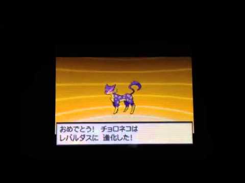ポケモンBW チョロネコ進化