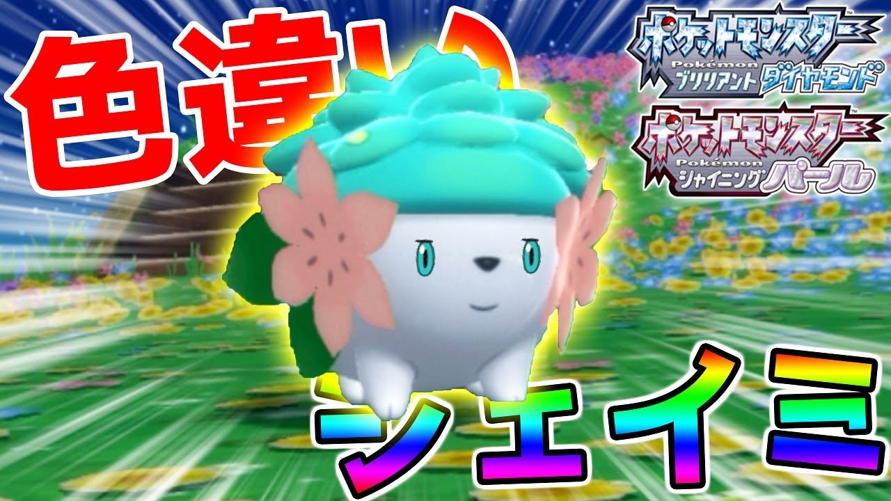 激レア！色違いシェイミが超かわいい！【ポケモンBDSP】