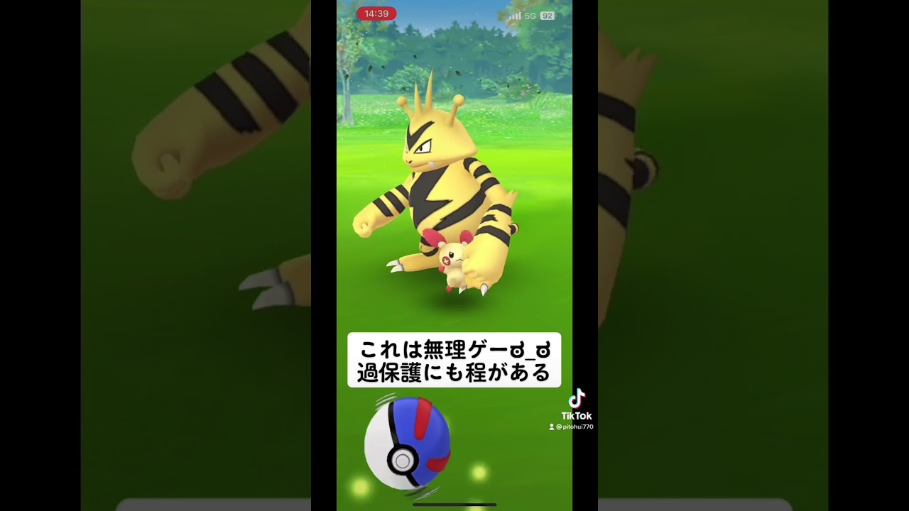 【ポケモンGO】これは無理ゲー。エレブーそれは過保護過ぎる…