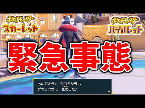 【ポケモンSV】先行入手方法はこれ？公式から色違いゲッコウガが入手できてしまう可能性のある映像が出回る【スカーレット/バイオレット/攻略/実況/考察/レイド/ランクマ/対戦/配布/アプデ/アップデート