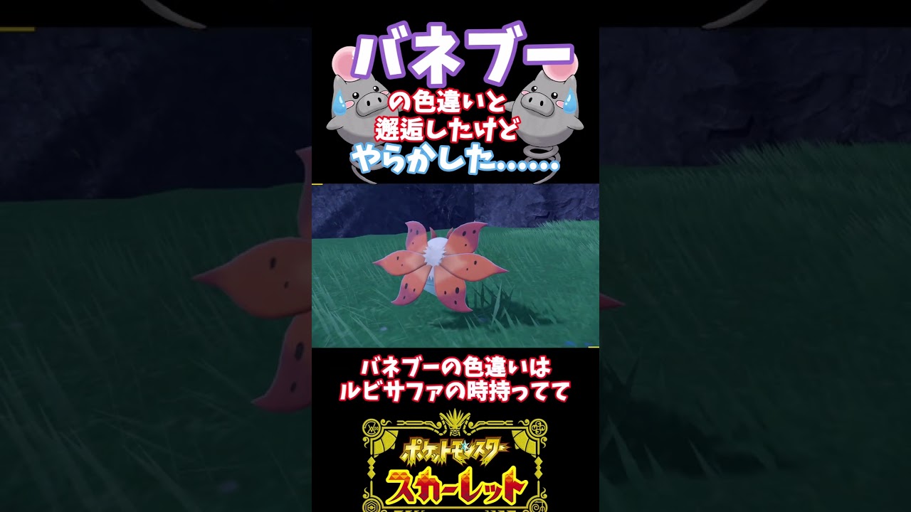 色違いバネブーを間違えて。。【ポケモンSV】（ずんだもん)（ゆっくり）