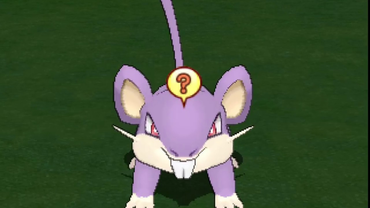 ポケリフレ　コラッタと戯れるだけの動画