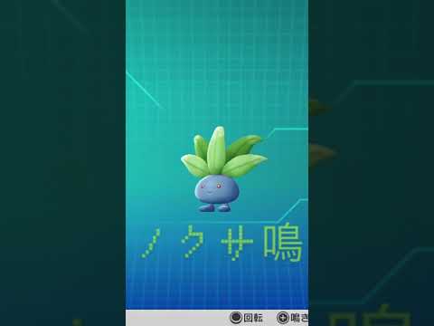 ピカブイ【図鑑NO043】ナゾノクサ鳴き声#ポケモン動き #図鑑コンプ #レッツゴーピカチュウ #レッツゴーイーブイ