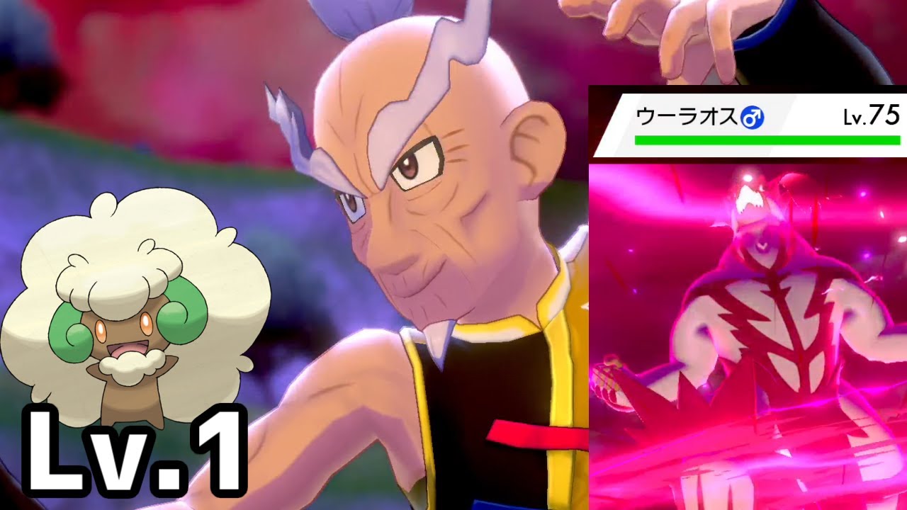 【ポケモン剣盾】開始Lv1エルフーン1匹でマスタード倒す