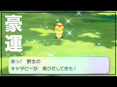 RTA配信中に色違いのキャタピーを捕獲した男【ポケモンピカブイ】