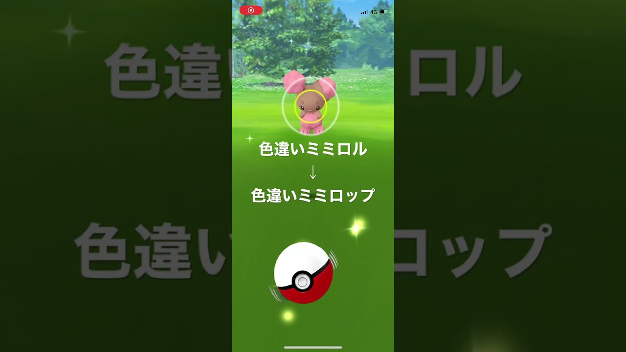 ポケモンGO 色違いミミロル出現！色違いミミロップへ進化！