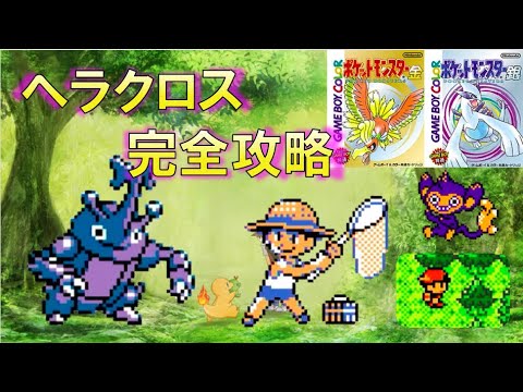 【ポケモン金銀】ヘラクロスの捕まえ方が明らかになりました。