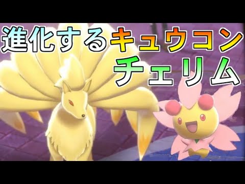 【ポケモン剣盾】進化し続けるキュウコンとチェリムが強すぎてヤバい【ポケットモンスター ソード・シールド/剣盾】