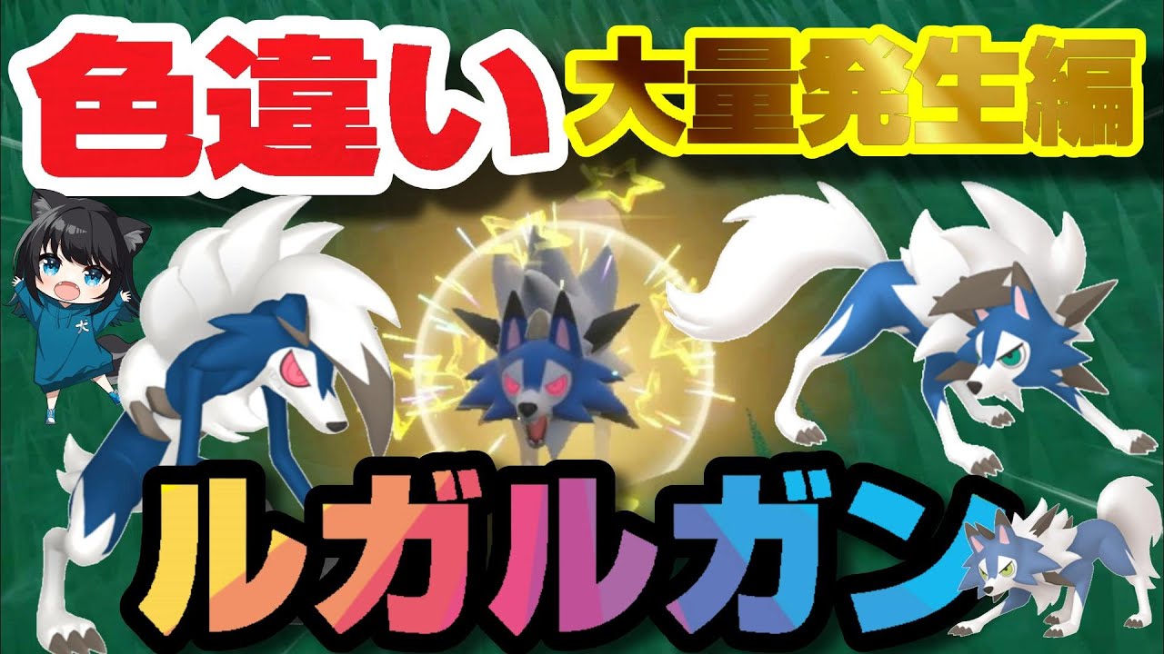 【色違い】ルガルガン！【大量発生編！】昼、夕、夜　すべての姿つかまえるぞっ