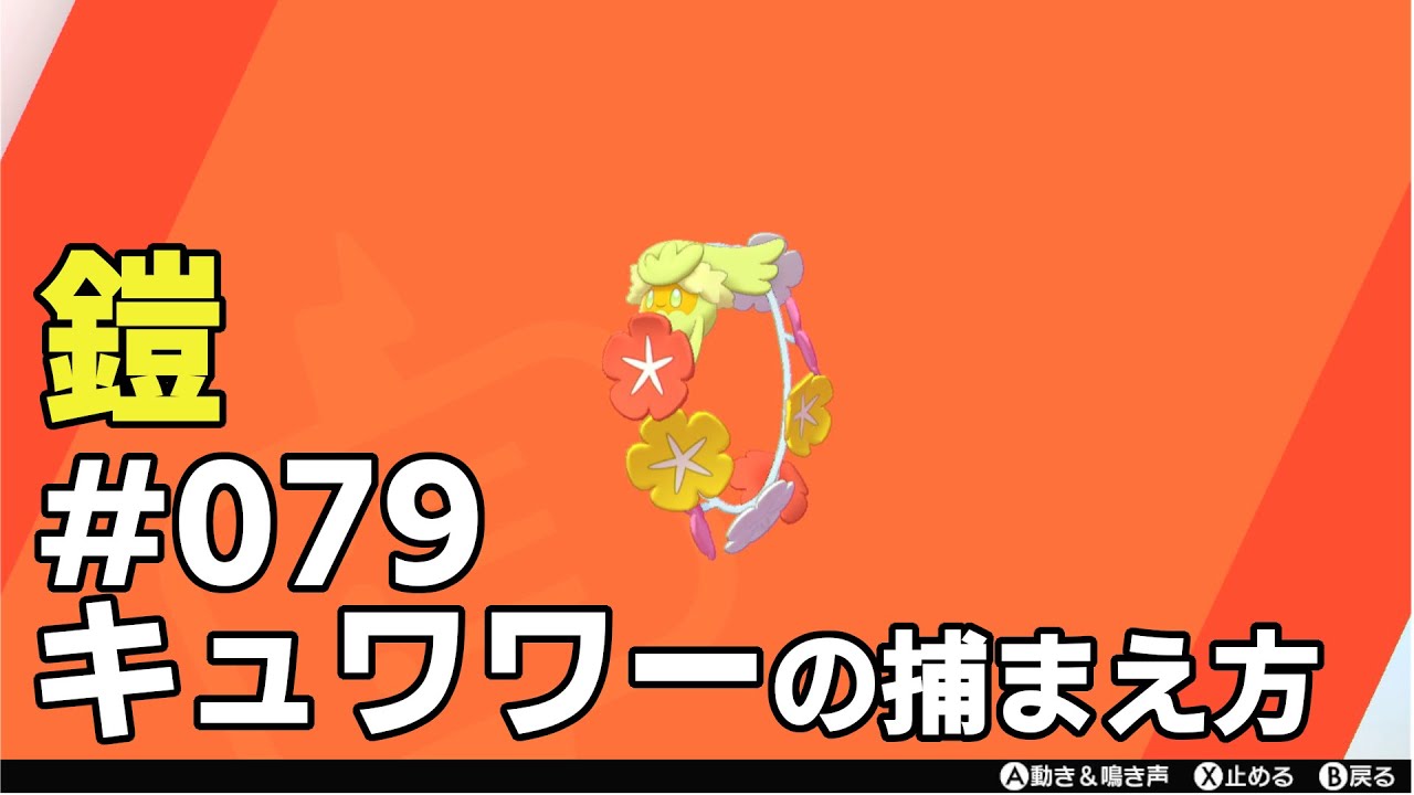 キュワワーを探している方に見てほしい動画