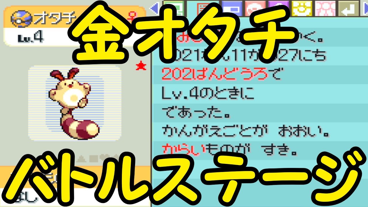 金オタチでバトルステージに挑む【ポケモンプラチナ】