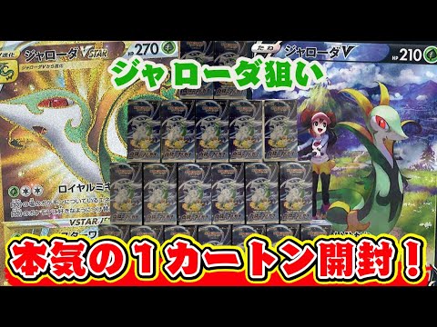 【ポケカ開封】ジャローダ実装アツ過ぎる！！『白熱のアルカナ』１カートン開封！！！【しょこらてぃえ】