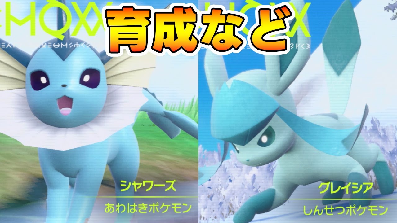 シャワーズグレイシアを育てたい枠【ポケモンSV】