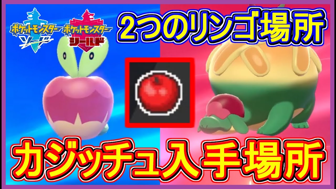 ポケモン剣盾 #14 カジッチュ入手場所 2つのリンゴ入手場所！タルップル進化方法 レベル100までに覚える技など【ポケモン剣盾】【ポケモン ソード・シールド 攻略 実況】Part14【メイルス】