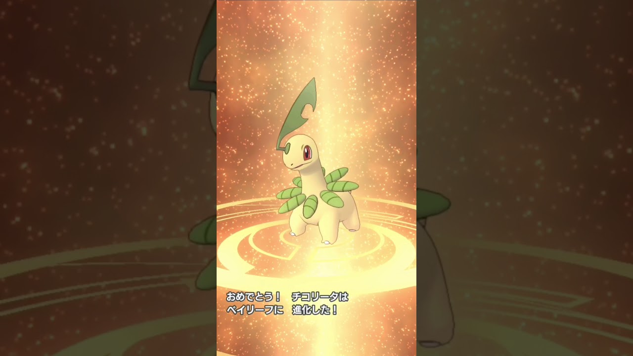 ポケモン マスターズ  チコリータ進化