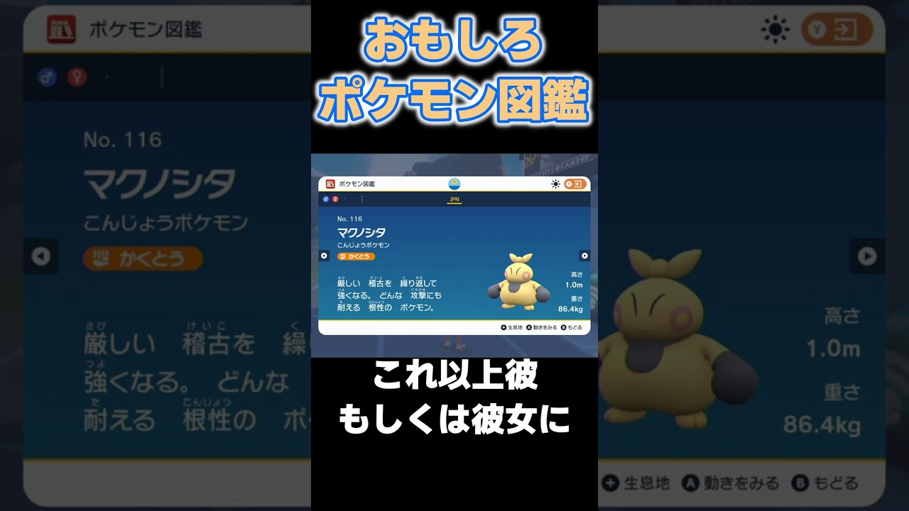 おもしろポケモン図鑑 マクノシタ編【#ポケモンsv】