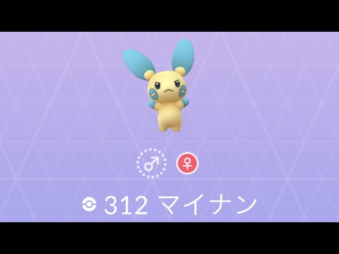 ポケモンGO マイナン ゲット！