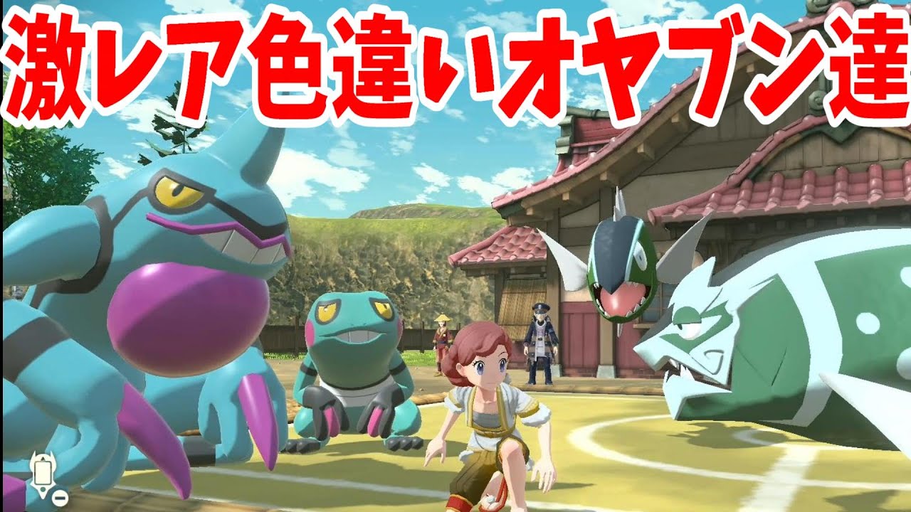 激レアオヤブン色違い！グレッグルとドグロッグの戦い！【ポケモンレジェンズアルセウス】