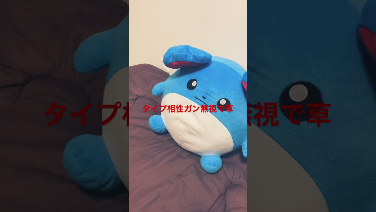 【逆境】ポケモン対戦　アチャモVSマリル