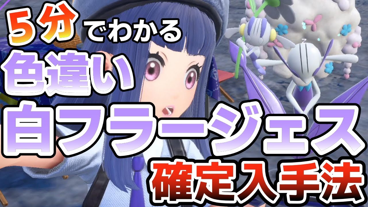 フラエッテ（フラージェス）のしろいはなを100％色違いにする方法【ポケモンSV】