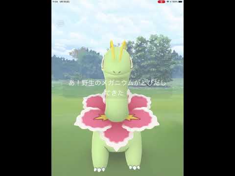 【ポケモンGO】初めて、野生のメガニウムに遭遇！