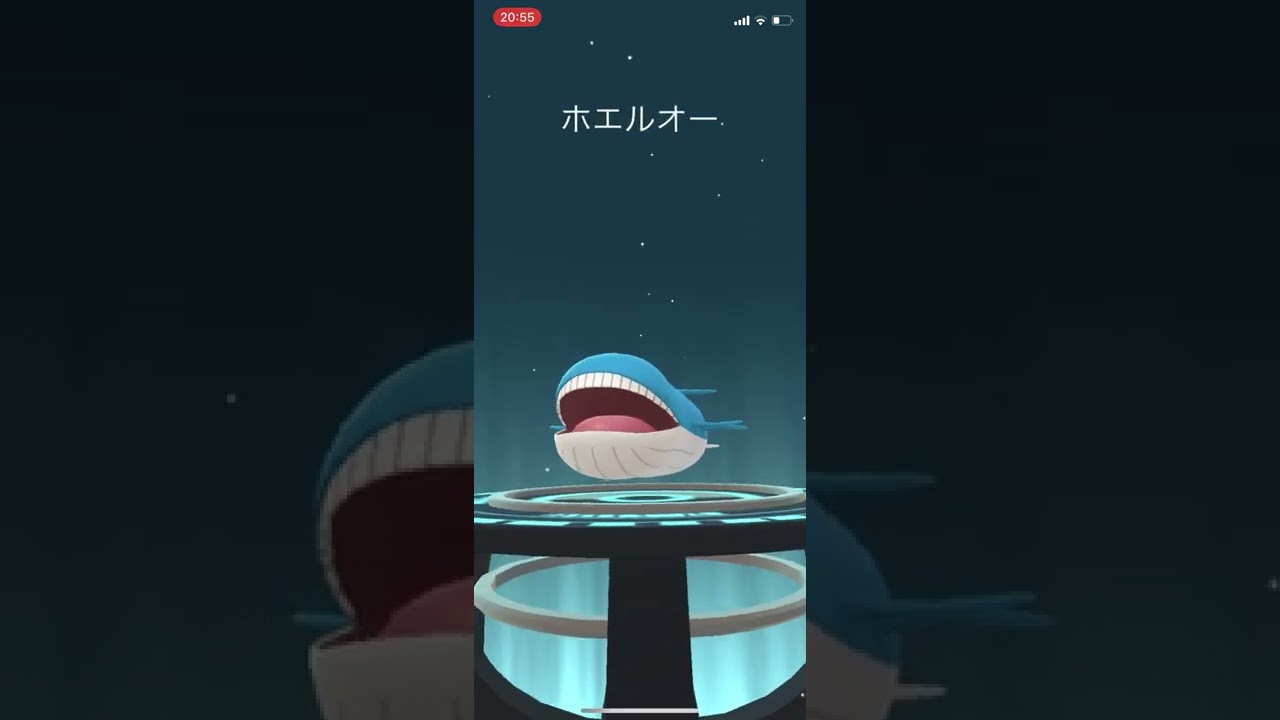 ポケモンGO ホエルコ進化