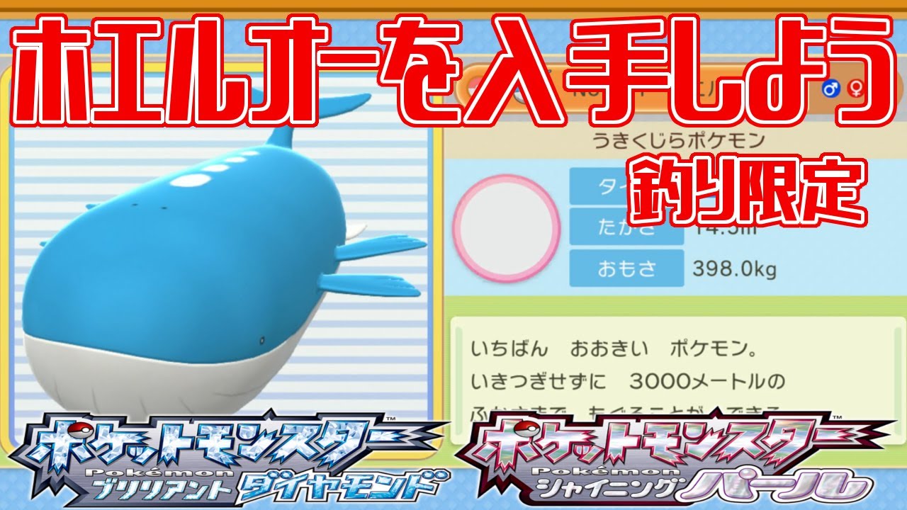 【ポケモンダイパリメイク】ホエルオーを入手しよう 釣り限定 223番230番水道【ポケットモンスター ブリリアントダイヤモンド・シャイニングパール】Pocket Monsters