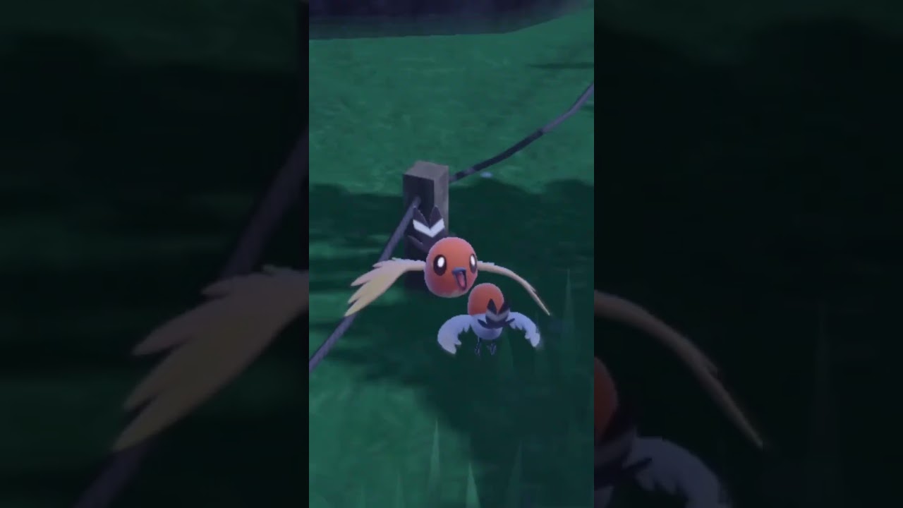 【ポケモンSV】色違い図鑑埋め企画 進捗報告 ヤヤコマ編1体目 #shorts