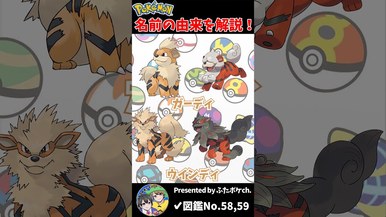ポケモン名の由来『ガーディ・ウインディ』 #Shorts